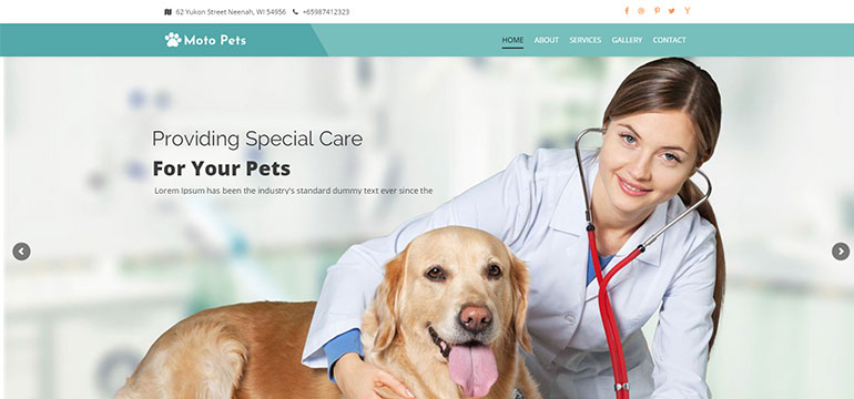 Pets Care